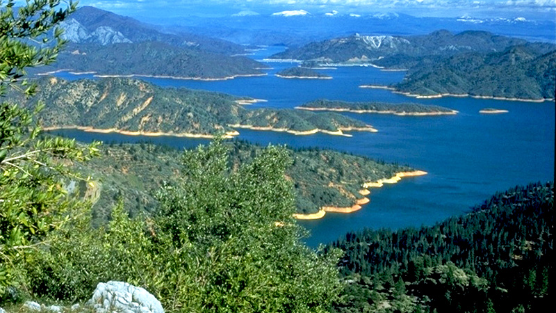 shasta-lake-11