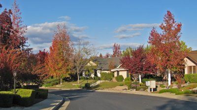 the-vineyard-street-3