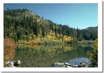 Shasta County Fall Colors