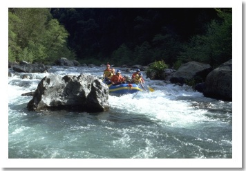 Rafting Sacramento River
