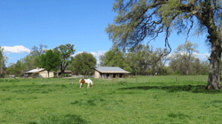 Redding Real Estate