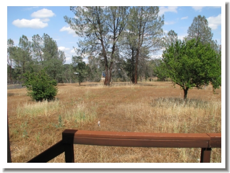 Redding Ca