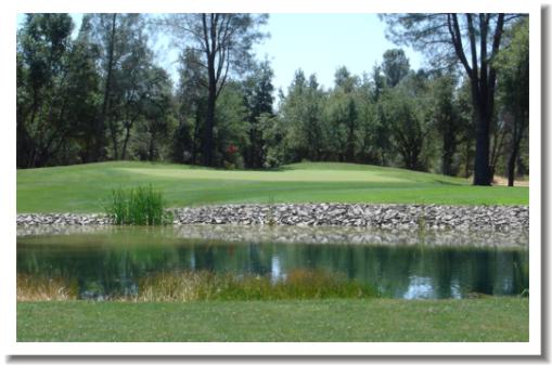 Redding Golf Golf Homes And Real Estate In The Redding Area 