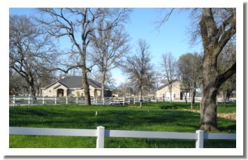 Palo Cedro Real Estate