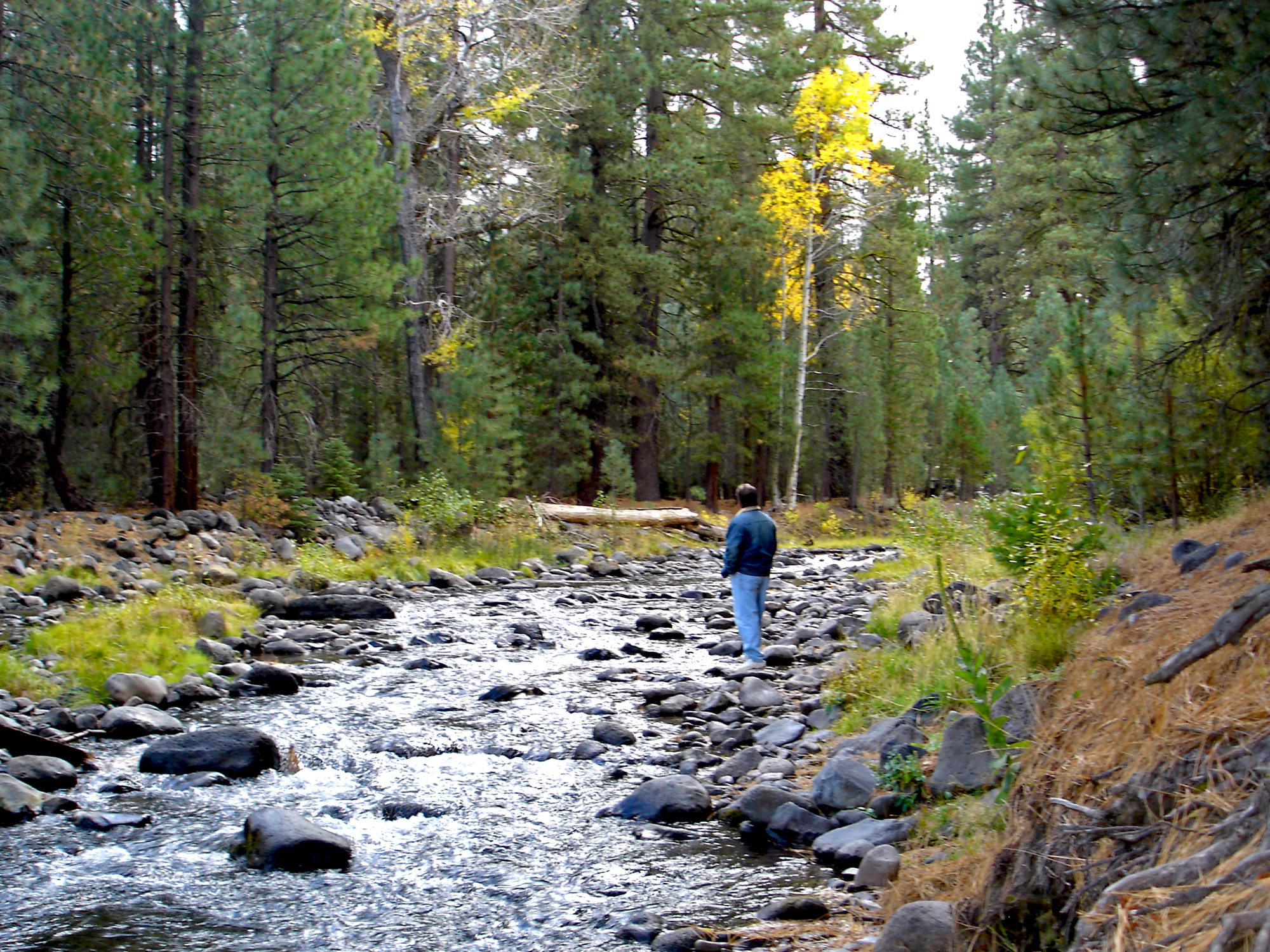 hat-creek-gazing