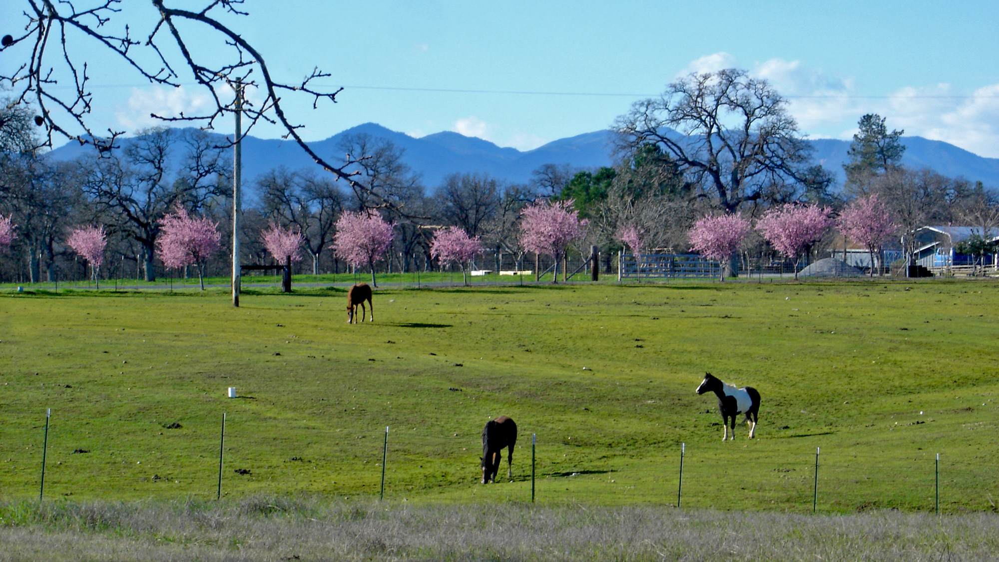 Interested in Selling Your Redding home? Or one nearby?