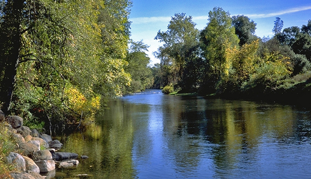 creek-fishing-10