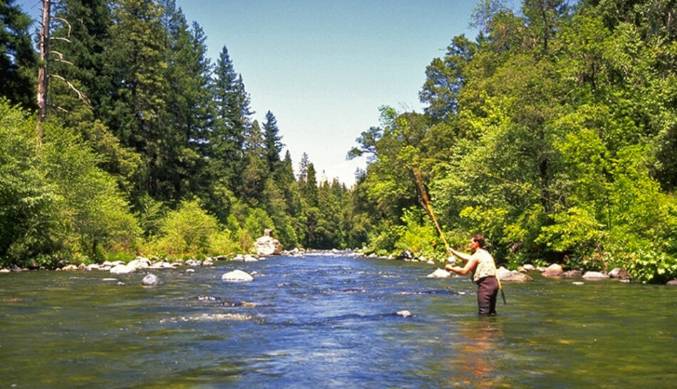 creek-fishing-11