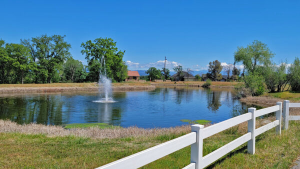 lake-california-entry-pond