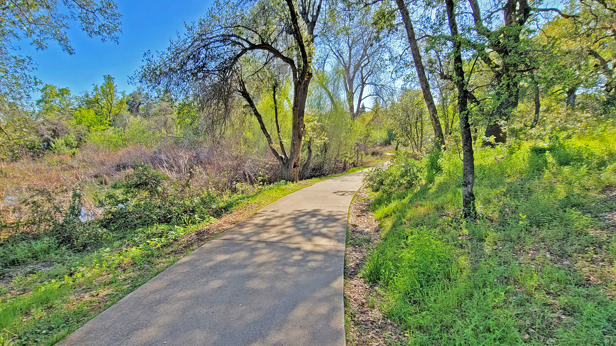 mary-lake-trail-2