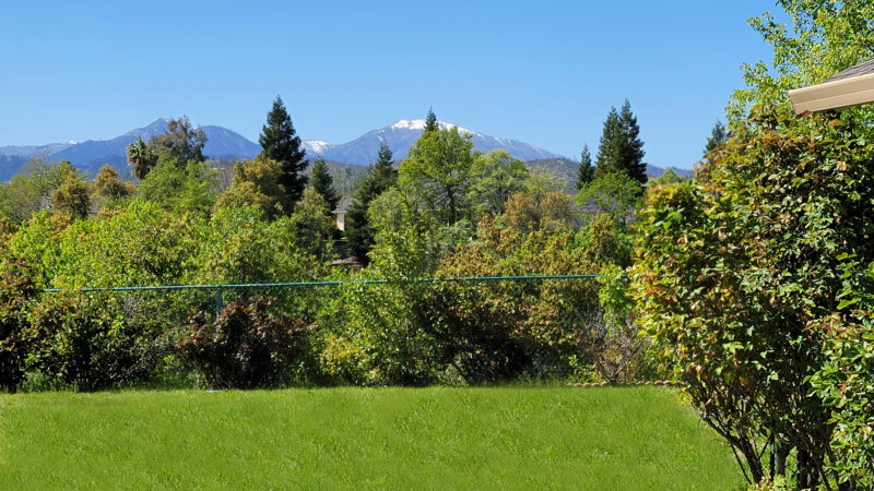 Country Heights Neighborhood, Redding CA - Backyard View